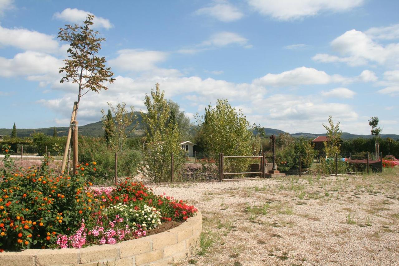Hotel Glamping Debbiare Riparbella Zewnętrze zdjęcie