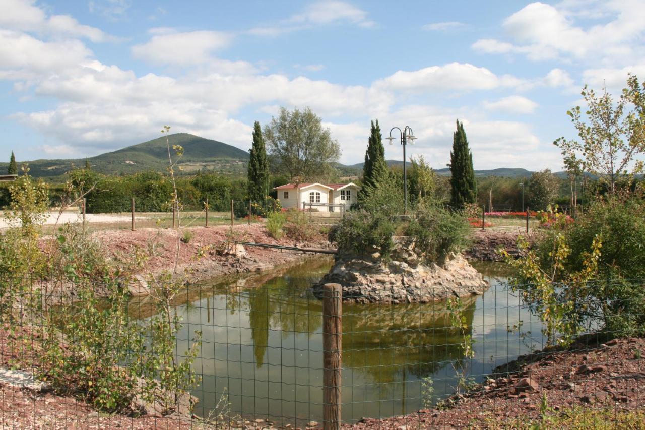 Hotel Glamping Debbiare Riparbella Zewnętrze zdjęcie